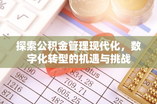 庄河探索公积金管理现代化，数字化转型的机遇与挑战