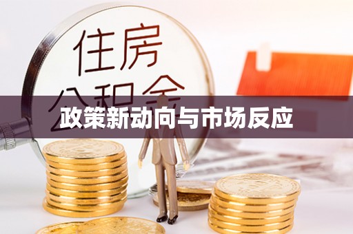 庄河政策新动向与市场反应