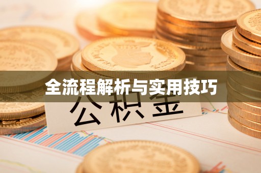 庄河全流程解析与实用技巧