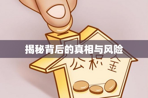 庄河揭秘背后的真相与风险