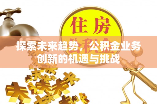庄河探索未来趋势，公积金业务创新的机遇与挑战