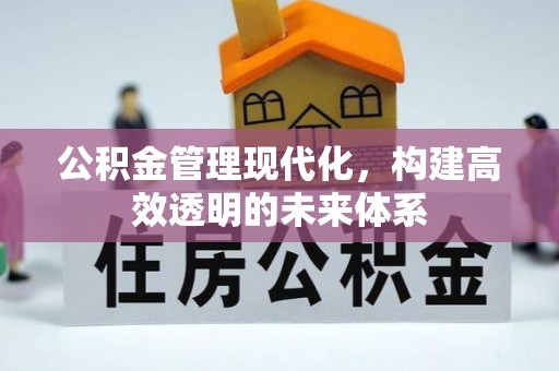 庄河公积金管理现代化，构建高效透明的未来体系