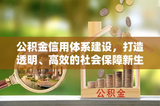 庄河公积金信用体系建设，打造透明、高效的社会保障新生态