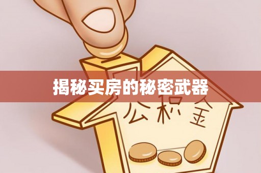 庄河揭秘买房的秘密武器
