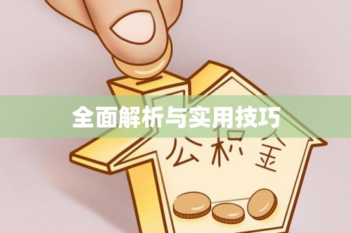 庄河全面解析与实用技巧