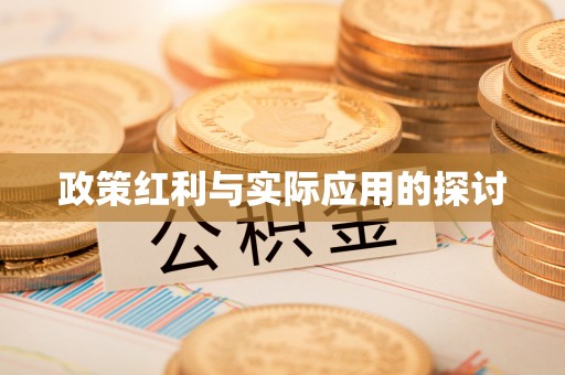 庄河政策红利与实际应用的探讨
