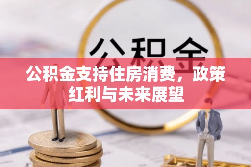 庄河公积金支持住房消费，政策红利与未来展望