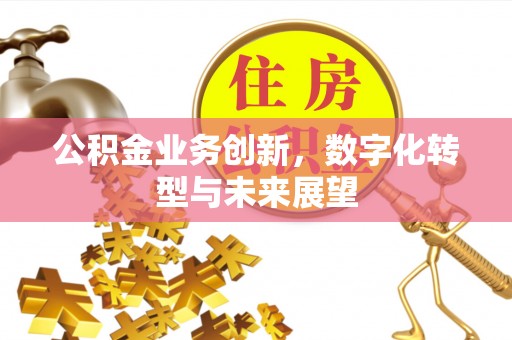 庄河公积金业务创新，数字化转型与未来展望