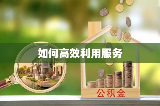 庄河如何高效利用服务