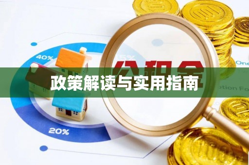 庄河政策解读与实用指南