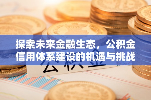 庄河探索未来金融生态，公积金信用体系建设的机遇与挑战