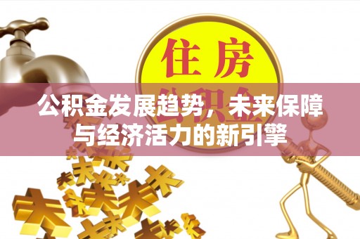 庄河公积金发展趋势，未来保障与经济活力的新引擎