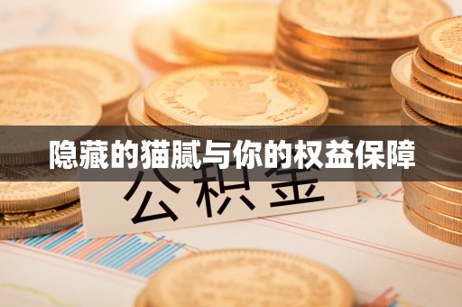 庄河隐藏的猫腻与你的权益保障