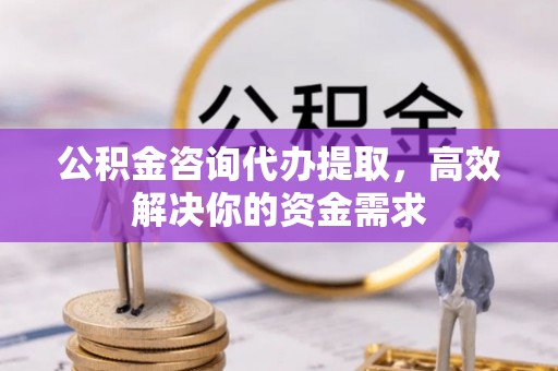 庄河公积金咨询代办提取，高效解决你的资金需求