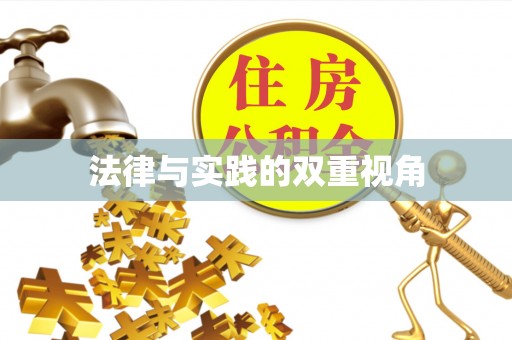 庄河法律与实践的双重视角