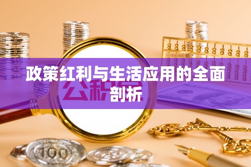 庄河政策红利与生活应用的全面剖析