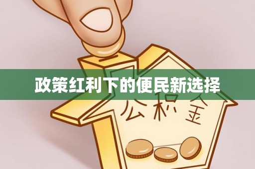 庄河政策红利下的便民新选择
