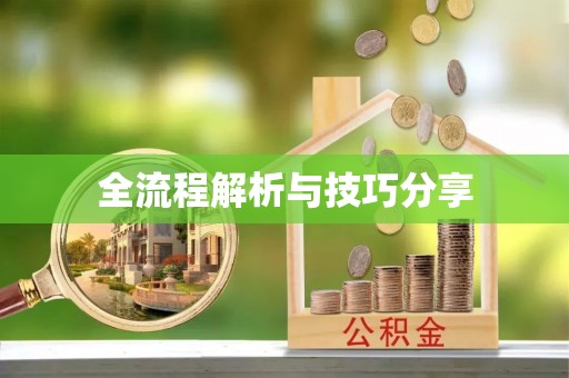 庄河全流程解析与技巧分享